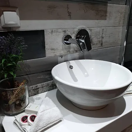 V-suites 2 ポトス