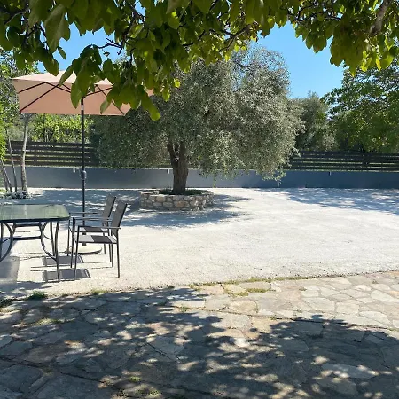 V-suites 2 * ポトス