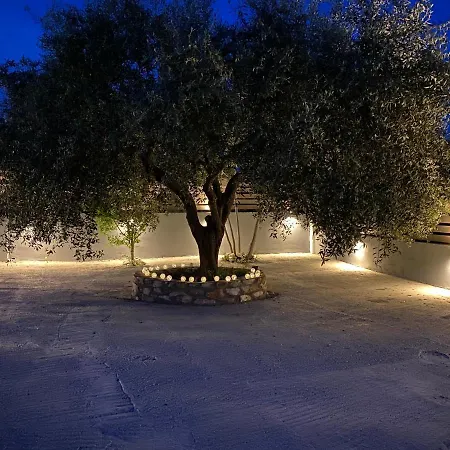 V-suites 2 アパート ポトス